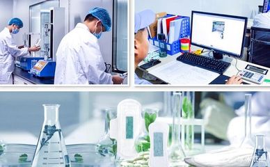 廣東冰冰護理：醫療器械制造的卓越品質保障